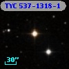 TYC  537-1318-1