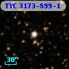 TYC 3173-899-1