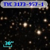 TYC 3173-957-1