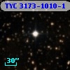 TYC 3173-1010-1