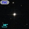 TYC  561-894-1