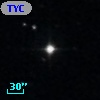 TYC  562-336-1
