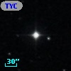 TYC  562-965-1