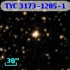 TYC 3173-1205-1