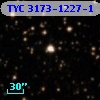 TYC 3173-1227-1