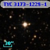 TYC 3173-1228-1