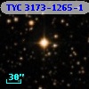 TYC 3173-1265-1
