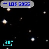 ** LDS  5955