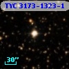 TYC 3173-1323-1