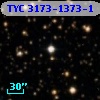 TYC 3173-1373-1