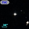 TYC  571-331-1