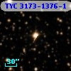 TYC 3173-1376-1