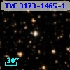 TYC 3173-1485-1