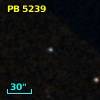 PB  5239