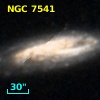 NGC  7541