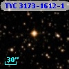 TYC 3173-1612-1