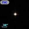 TYC  591-498-1