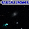 RASSCALS SRGb037.070