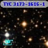 TYC 3173-1616-1