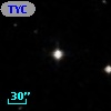 TYC  589-737-1