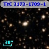 TYC 3173-1709-1