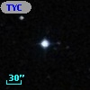 TYC  590-1113-1