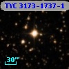 TYC 3173-1737-1
