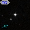 TYC    6-977-1