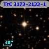 TYC 3173-2133-1