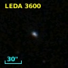 LEDA    3600