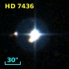HD   7436