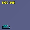 NGC   446