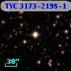 TYC 3173-2198-1