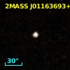 2MASS J01163693+0248363