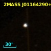 2MASS J01164290+0306298