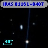 IRAS 01181+0407