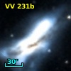VV  231b