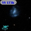 VV  173b