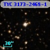 TYC 3173-2468-1