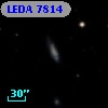 LEDA    7814