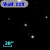 Wolf  119