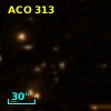 ACO   313