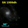 SN 1999dh