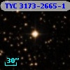TYC 3173-2665-1
