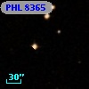 PHL  8365