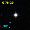 G  75-29