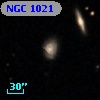 NGC  1021