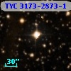 TYC 3173-2873-1