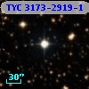 TYC 3173-2919-1