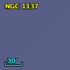 NGC  1137
